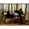 Test v Motoroute.