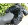 Test v Motoroute.